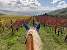 Train & Trail in Tuscany