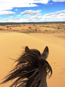 Steppe Nomads Ride