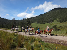 Ajusco Volcanoes and Wilderness Adventure