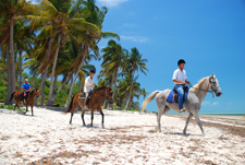 tourist horse riding