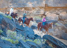 Desert Canyons Safari