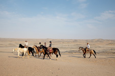 Between Desert & Skeleton Coast