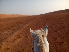 Wahiba Desert Ride