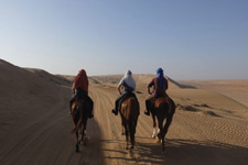 Wahiba Desert Ride