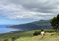 Faial Island Explorer