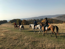 Gourmet Ride in Transylvania