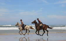 Wild Coast Horse Trail