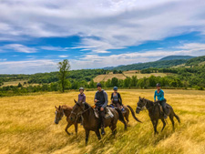 Tara National Park Ride