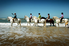 Doñana Riding Adventure