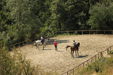 Dressage Clinic in Tuscany