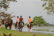 Best of Sri Lanka on Horseback