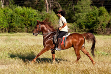 Taurus Mountains Ride