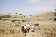 equestrian tours europe