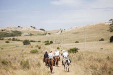 hidden valley horse treks