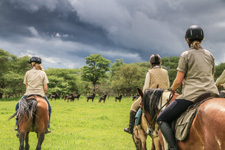 Mana Pools & Hwange Safari Combo