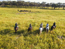 Hwange Explorer Safari