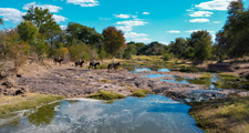 Luxury Zambezi Safari
