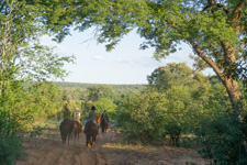 Zambezi Safari Getaway
