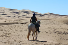 Sand Dunes Horse & Camel Ride