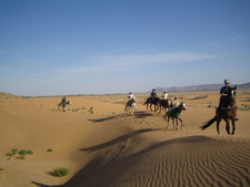 Oasis of Tafilalelt Expedition