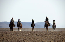 Damara Elephant Trail to Skeleton Coast