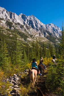 Banff  - Backcountry Lodge Ride - 3 days