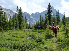 Tombstone Pass Backcountry Ride