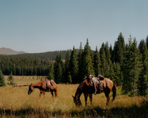 Bighorn Mountains Pack Trips