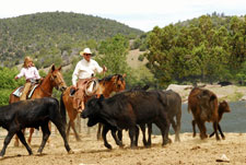 Cattle Ranch in Pleasant Valley