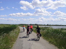 Cycling through Provence and Camargue