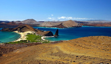 Coral I & II  4 day Cruise