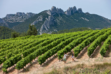 Wine Trails of Rhône Valley