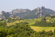Provence Walk & Wine