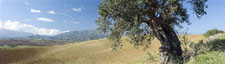 Camino - French Route F2