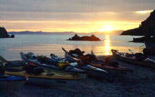 Sea of Cortez Islands & Whale Watching