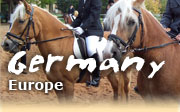 Horseback riding vacations in Bavaria