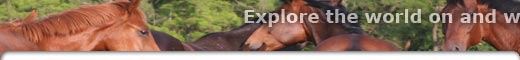 Equestrian tours in Boronka