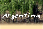 Horseback riding vacations in Argentina