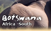 Horseback riding vacations in Botswana