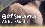 Horseback riding vacations in Botswana, Okavango Delta