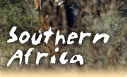 Horseback riding vacations in Southern Africa