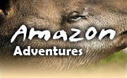 Amazon vacations in Ecuador, Highlands Riding Tours