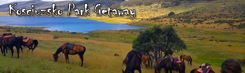 Kosciuzsko Park Getaway