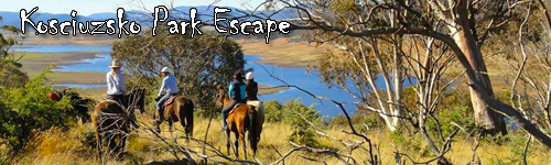 Kosciuzsko Park Escape