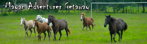 Mayan Adventurer Getaway