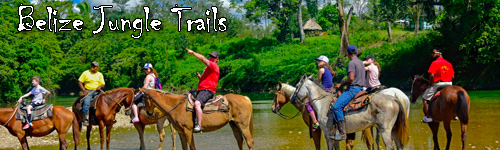 Belize Jungle Trails