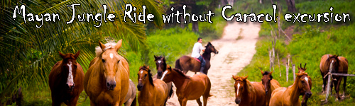 Mayan Jungle Ride without Caracol excursion