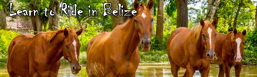 Learn to Ride in Belize