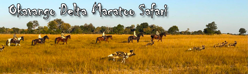 Okavango Delta Macatoo Safari