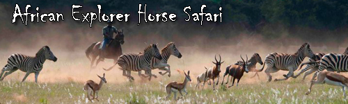 African Explorer Horse Safari